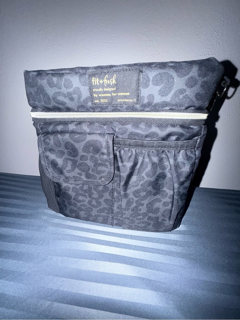 Gently used Fit & Fresh Lunchbag